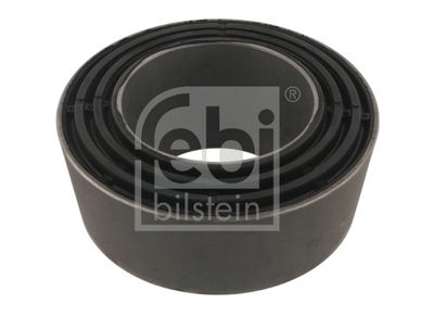 Piekare, Lokšņu atspere FEBI BILSTEIN 31000