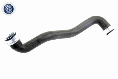 Шланг радиатора VAICO V30-1918