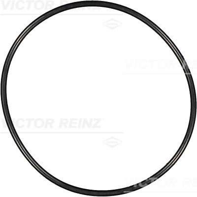 Уплотнительное кольцо VICTOR REINZ 40-76675-00