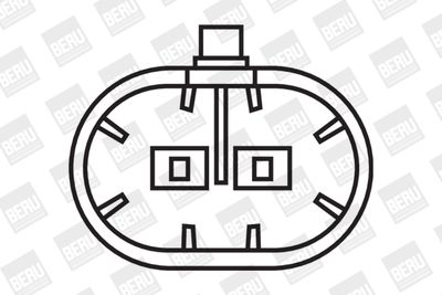 Катушка зажигания BorgWarner (BERU) ZS284