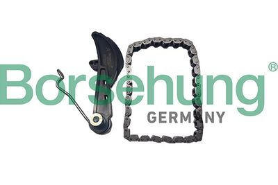 Комплект цели привода распредвала BORSEHUNG B10251