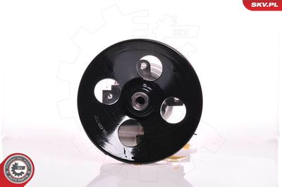 Hidrosūknis, Stūres iekārta ESEN SKV 10SKV164