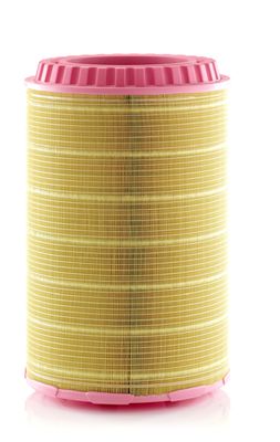 Gaisa filtrs MANN-FILTER C 38 3062