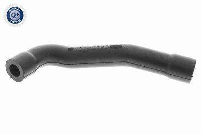 Шланг, вентиляция картера VAICO V30-0902