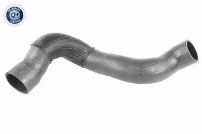 Трубка нагнетаемого воздуха VAICO V950370