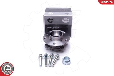 Комплект подшипника ступицы колеса ESEN SKV 29SKV539