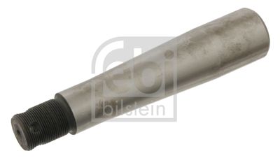 Grozāmass statnes skrūve FEBI BILSTEIN 30592