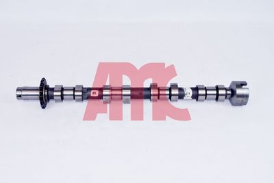 Sadales vārpsta AMC 647148