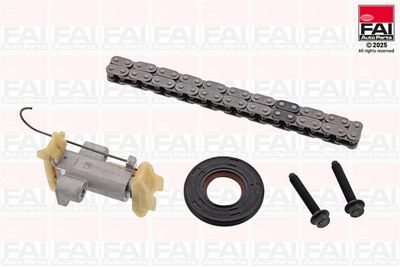 Комплект цели привода распредвала FAI AutoParts TCK487