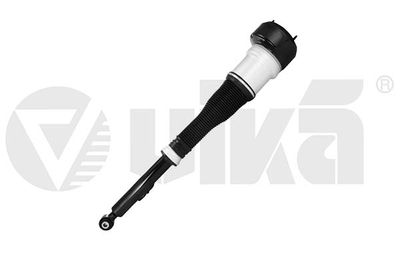 Pneimoatsperes statnis vika 59903301