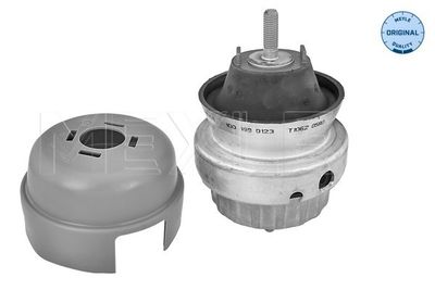 Подвеска, двигатель MEYLE 100 199 0123