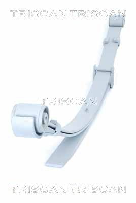 Многолистовая рессора TRISCAN 8765 29021