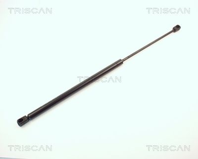 Gāzes atspere, Bagāžas/Kravas nodalījuma vāks TRISCAN 87101610