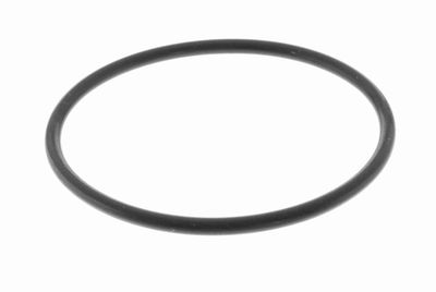 Blīve, Izplūdes gāzu recirkulācijas vārsts VEMO V10-63-0102