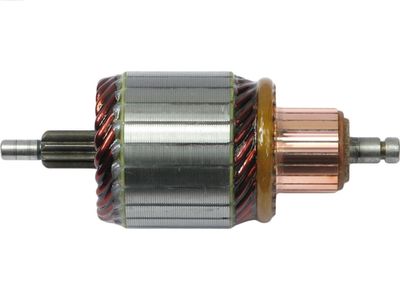Enkurs, Starteris AS-PL SA0061
