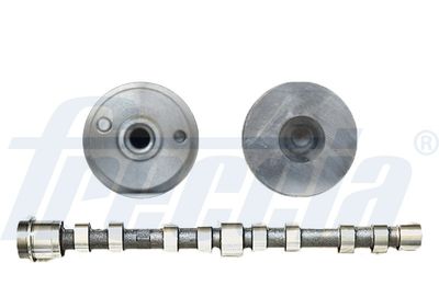 Sadales vārpsta FRECCIA CM05-2273