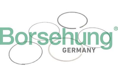 Virzuļa gredzenu komplekts Borsehung B10373