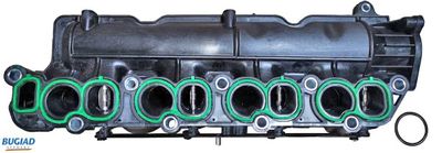 Впускная труба, подвод воздуха BUGIAD BIM17026