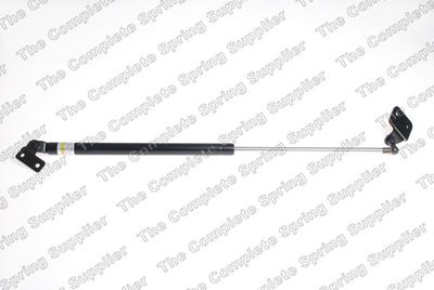 Gāzes atspere, Bagāžas/Kravas nodalījuma vāks LESJOFORS 8155417