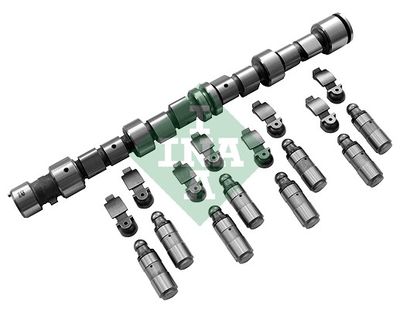 Комплект распредвала Schaeffler INA 428 0041 30