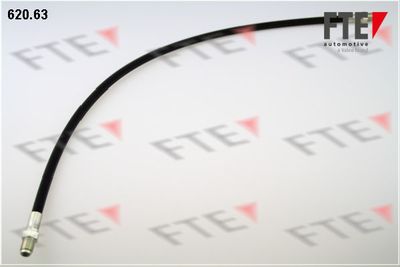 Тормозной шланг FTE 9741064