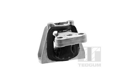 Подвеска, двигатель TEDGUM 00269162