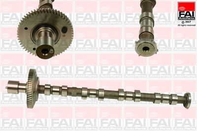 Распредвал FAI AUTOPARTS C308