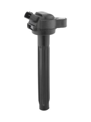 Aizdedzes spole BorgWarner (BERU) ZSE261