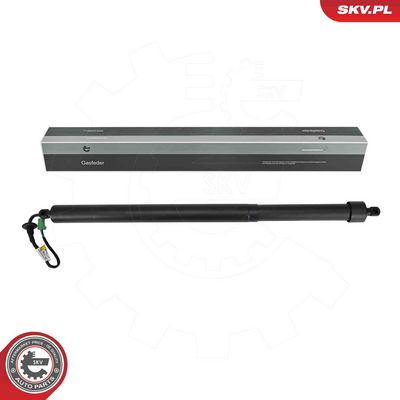 Электромотор, задняя дверь ESEN SKV 52SKV885