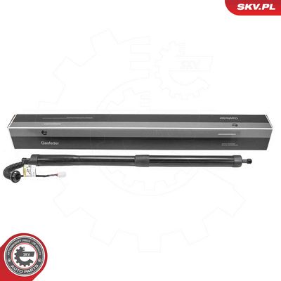 Электромотор, задняя дверь ESEN SKV 52SKV296