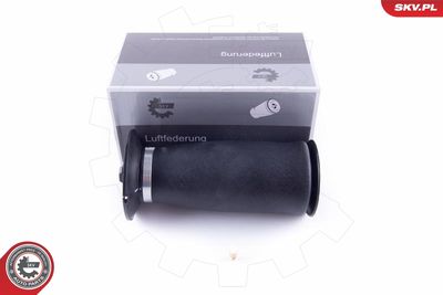 Pneimoatspere, Balstiekārta ESEN SKV 58SKV021