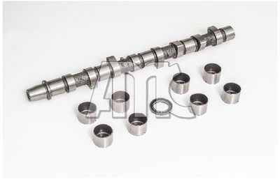 Sadales vārpstas komplekts AMC 665811K