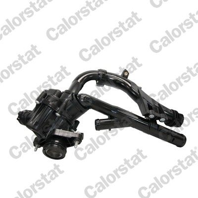 Termostats, Dzesēšanas šķidrums CALORSTAT by Vernet TE7378.97J