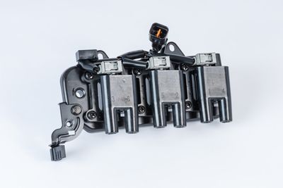 BERU ELEKTRYKA BorgWarner (BERU) ZS555