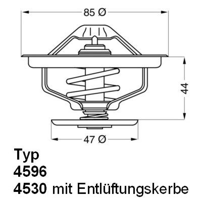 Termostats, Dzesēšanas šķidrums BorgWarner (Wahler) 410758.83D