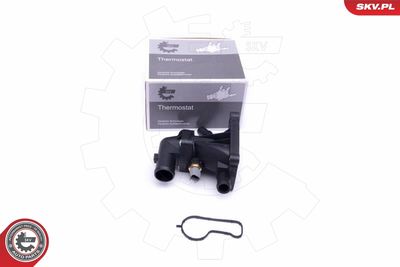 Termostats, Dzesēšanas šķidrums ESEN SKV 20SKV124