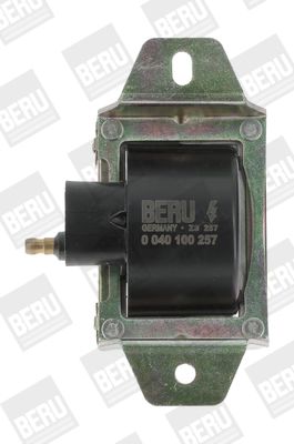 Катушка зажигания BorgWarner (BERU) ZS257