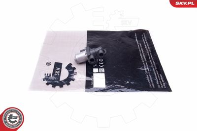 Dzesēšanas šķidruma regulēšanas vārsts ESEN SKV 96SKV911