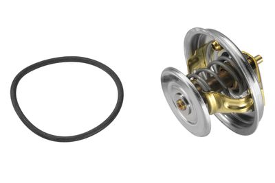 Termostats, Dzesēšanas šķidrums BorgWarner (Wahler) 4078.75D