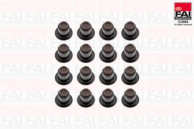 Blīvju komplekts, Vārsta kāts FAI AutoParts VSK2325
