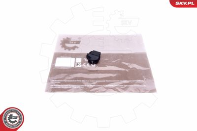 Выключатель, стеклолодъемник ESEN SKV 37SKV368