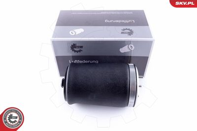 Pneimoatspere, Balstiekārta ESEN SKV 58SKV003