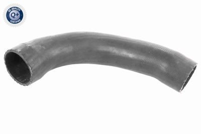 Трубка нагнетаемого воздуха VAICO V95-0371