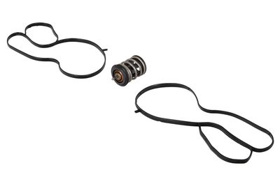 Termostats, Dzesēšanas šķidrums CONTINENTAL 28020040052