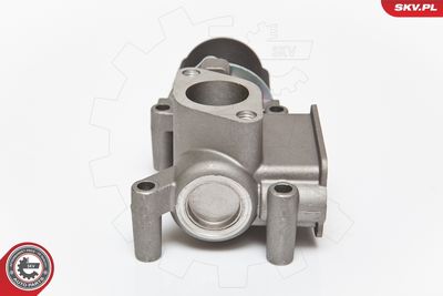 Клапан возврата ОГ ESEN SKV 14SKV064