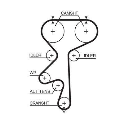 Зубчатый ремень GATES 5542XS