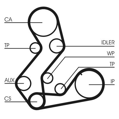 Ūdenssūknis + Zobsiksnas komplekts CONTINENTAL CTAM CT901WP1