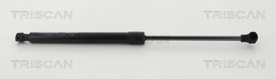 Gāzes atspere, Motora pārsegs TRISCAN 8710 25113