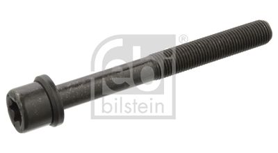 Болт головки цилиндра FEBI BILSTEIN 06543