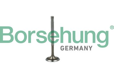 Впускной клапан BORSEHUNG B19019